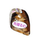 藤村ちょこ！（個別スタンプ：5）