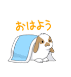 うさぎづくし（個別スタンプ：3）