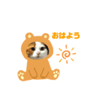 毛抜きめぐちゃん（個別スタンプ：6）