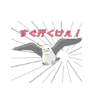 【鳥取弁】浦富海岸遊覧船 あまびえちゃん（個別スタンプ：18）