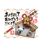 フレブル コウちゃん(年末年始)（個別スタンプ：2）