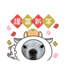 フレブル コウちゃん(年末年始)（個別スタンプ：8）