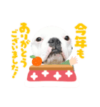 フレブル コウちゃん(年末年始)（個別スタンプ：10）