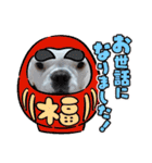 フレブル コウちゃん(年末年始)（個別スタンプ：11）