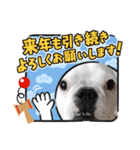 フレブル コウちゃん(年末年始)（個別スタンプ：13）