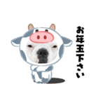 フレブル コウちゃん(年末年始)（個別スタンプ：16）