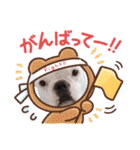 フレブル コウちゃん(年末年始)（個別スタンプ：19）