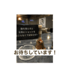BAR DE KARAOKE AMBITIOUS stamp（個別スタンプ：16）