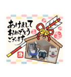 フレブル 帰蝶＆お市（個別スタンプ：1）
