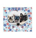 フレブル 帰蝶＆お市（個別スタンプ：3）