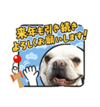 フレブル 帰蝶＆お市（個別スタンプ：12）