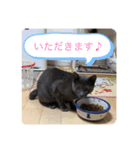 我が家の灰色猫くん（個別スタンプ：4）