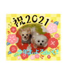 LUNA＆SEAちゃんミックスdog part6(正月編)（個別スタンプ：4）