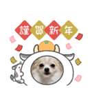 LUNA＆SEAちゃんミックスdog part6(正月編)（個別スタンプ：5）