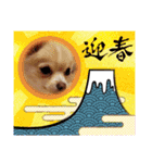 LUNA＆SEAちゃんミックスdog part6(正月編)（個別スタンプ：6）