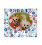 LUNA＆SEAちゃんミックスdog part6(正月編)（個別スタンプ：7）