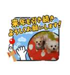 LUNA＆SEAちゃんミックスdog part6(正月編)（個別スタンプ：10）