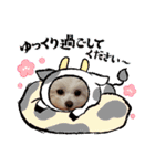 LUNA＆SEAちゃんミックスdog part6(正月編)（個別スタンプ：11）
