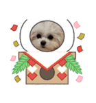LUNA＆SEAちゃんミックスdog part6(正月編)（個別スタンプ：12）