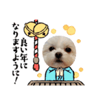 LUNA＆SEAちゃんミックスdog part6(正月編)（個別スタンプ：15）