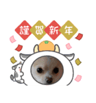 LUNA＆SEAちゃんミックスdog part6(正月編)（個別スタンプ：16）