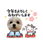 LUNA＆SEAちゃんミックスdog part6(正月編)（個別スタンプ：17）