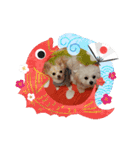 LUNA＆SEAちゃんミックスdog part6(正月編)（個別スタンプ：18）