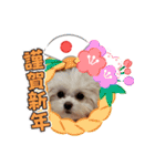 LUNA＆SEAちゃんミックスdog part6(正月編)（個別スタンプ：19）