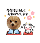 LUNA＆SEAちゃんミックスdog part6(正月編)（個別スタンプ：28）
