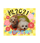 LUNA＆SEAちゃんミックスdog part6(正月編)（個別スタンプ：29）