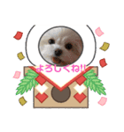 LUNA＆SEAちゃんミックスdog part6(正月編)（個別スタンプ：38）
