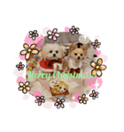 LUNA＆SEAちゃんミックスdog part6(正月編)（個別スタンプ：40）