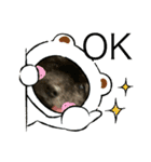 亀スタンプ＆犬スタンプ（個別スタンプ：6）