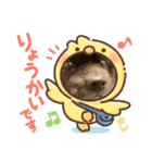 亀スタンプ＆犬スタンプ（個別スタンプ：7）