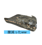 亀スタンプ＆犬スタンプ（個別スタンプ：8）