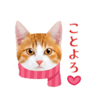 猫写真・年末年始のご挨拶♪【改良・再販】（個別スタンプ：8）