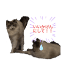 ちーむラグちゃんズ（個別スタンプ：4）