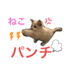 ちーむラグちゃんズ（個別スタンプ：7）