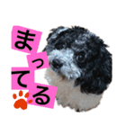 RURUスタンプ2020（個別スタンプ：1）