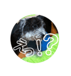 RURUスタンプ2020（個別スタンプ：6）