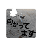 RURUスタンプ2020（個別スタンプ：10）