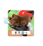 RURUスタンプ2020（個別スタンプ：15）