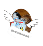 RURUスタンプ2020（個別スタンプ：16）