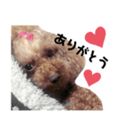 Abel♡Hachi（個別スタンプ：3）