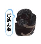 Abel♡Hachi（個別スタンプ：4）