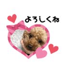 Abel♡Hachi（個別スタンプ：5）