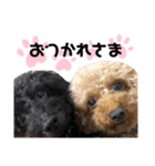 Abel♡Hachi（個別スタンプ：6）