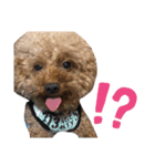 Abel♡Hachi（個別スタンプ：9）
