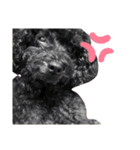 Abel♡Hachi（個別スタンプ：10）