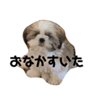 かんたダヨ❕（個別スタンプ：4）